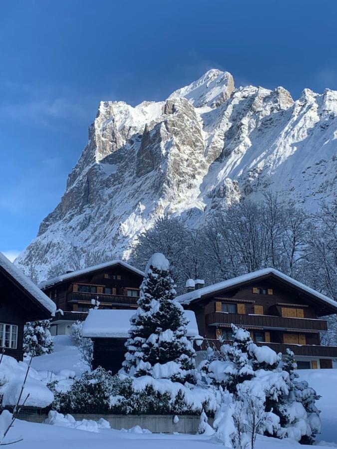 Chalet Sunneblick Grindelwald Exterior photo